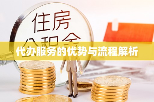 南宫代办服务的优势与流程解析