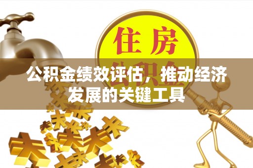 南宫公积金绩效评估，推动经济发展的关键工具
