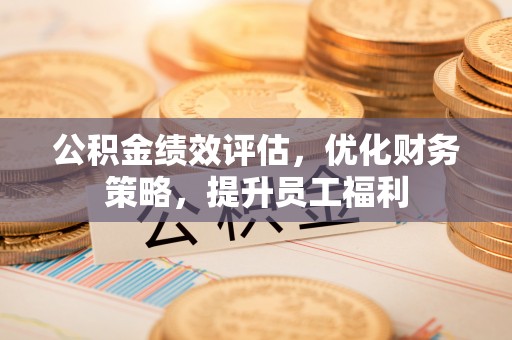 南宫公积金绩效评估，优化财务策略，提升员工福利