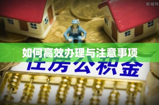 南宫如何高效办理与注意事项