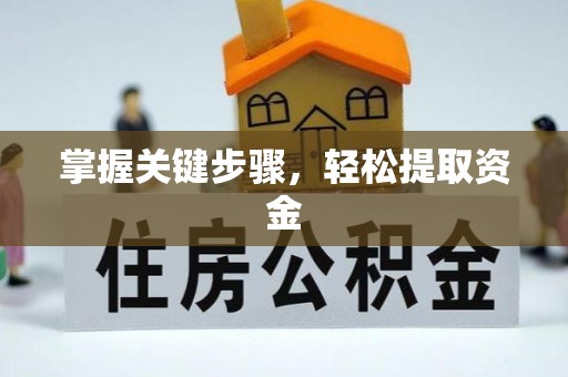 南宫掌握关键步骤，轻松提取资金