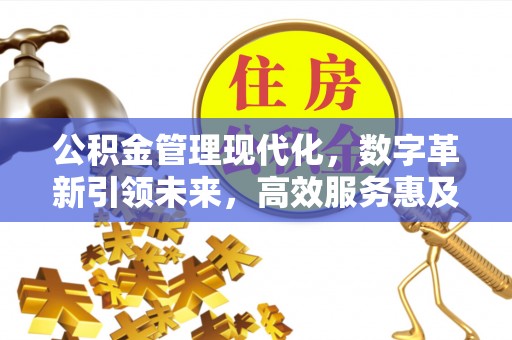 南宫公积金管理现代化，数字革新引领未来，高效服务惠及民生