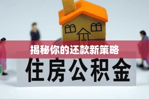 南宫揭秘你的还款新策略