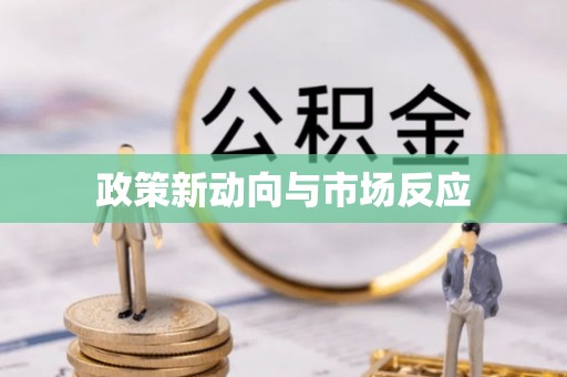 南宫政策新动向与市场反应