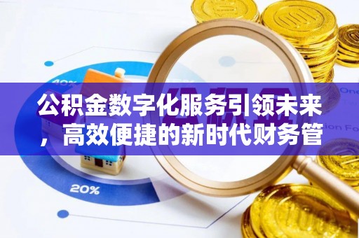 南宫公积金数字化服务引领未来，高效便捷的新时代财务管理