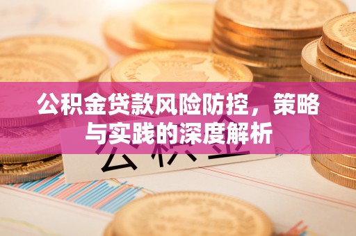 南宫公积金贷款风险防控，策略与实践的深度解析
