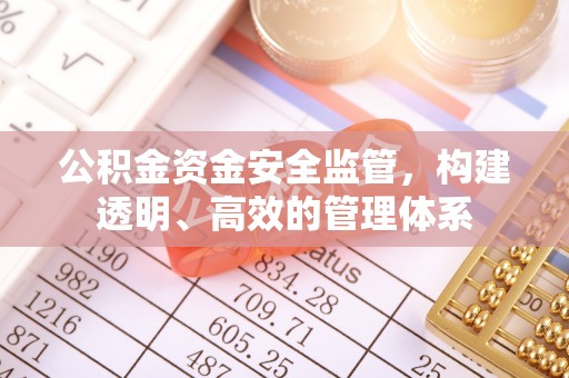 南宫公积金资金安全监管，构建透明、高效的管理体系