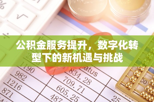 南宫公积金服务提升，数字化转型下的新机遇与挑战