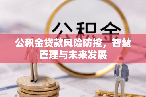 南宫公积金贷款风险防控，智慧管理与未来发展