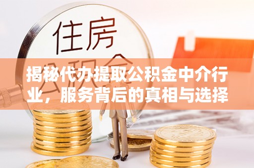 南宫揭秘代办提取公积金中介行业，服务背后的真相与选择指南