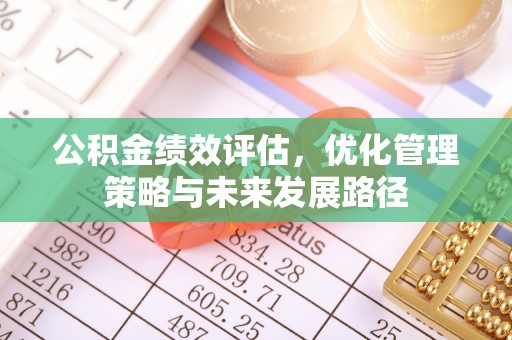 南宫公积金绩效评估，优化管理策略与未来发展路径