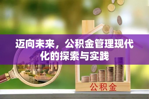 南宫迈向未来，公积金管理现代化的探索与实践