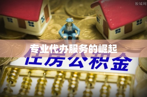 南宫专业代办服务的崛起
