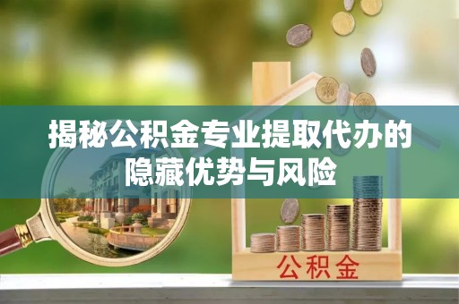 南宫揭秘公积金专业提取代办的隐藏优势与风险