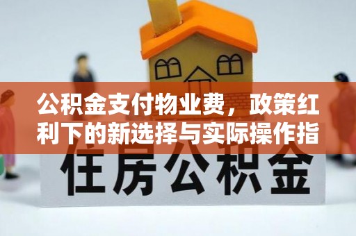 南宫公积金支付物业费，政策红利下的新选择与实际操作指南