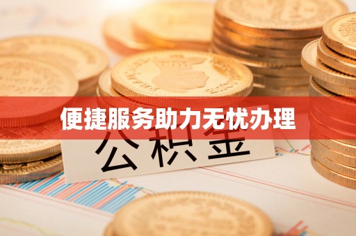 南宫便捷服务助力无忧办理