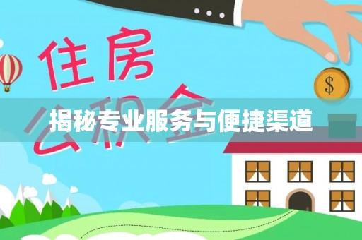 南宫揭秘专业服务与便捷渠道