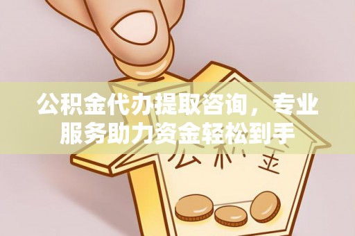 南宫公积金代办提取咨询，专业服务助力资金轻松到手
