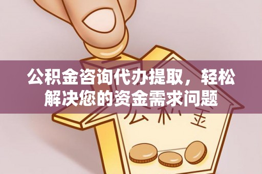 南宫公积金咨询代办提取，轻松解决您的资金需求问题