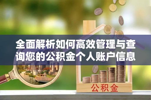南宫全面解析如何高效管理与查询您的公积金个人账户信息