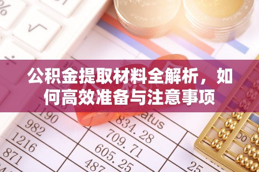 南宫公积金提取材料全解析，如何高效准备与注意事项
