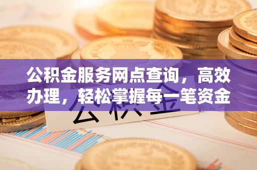 南宫公积金服务网点查询，高效办理，轻松掌握每一笔资金动态