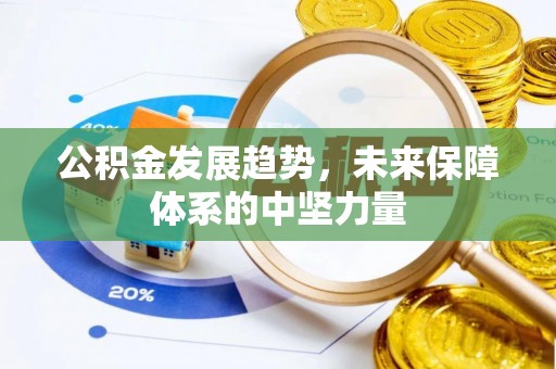 南宫公积金发展趋势，未来保障体系的中坚力量