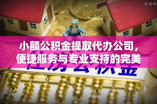 南宫小额公积金提取代办公司，便捷服务与专业支持的完美结合