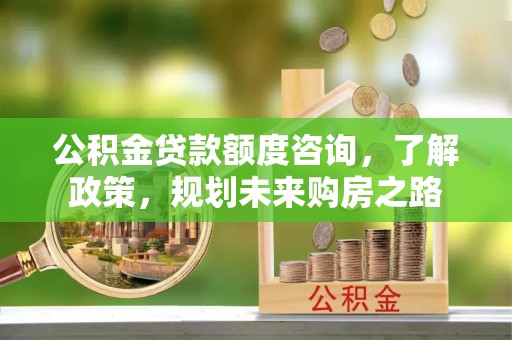 南宫公积金贷款额度咨询，了解政策，规划未来购房之路