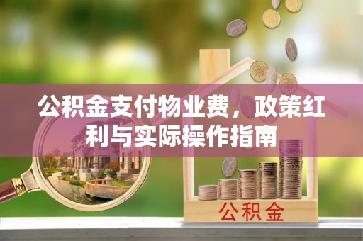 南宫公积金支付物业费，政策红利与实际操作指南