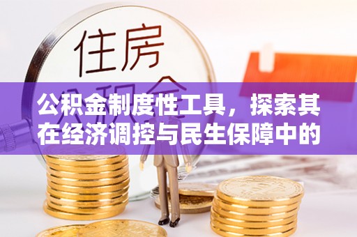 南宫公积金制度性工具，探索其在经济调控与民生保障中的重要作用