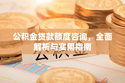 南宫公积金贷款额度咨询，全面解析与实用指南
