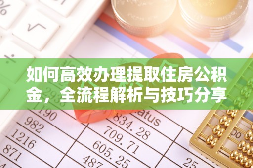 南宫如何高效办理提取住房公积金，全流程解析与技巧分享