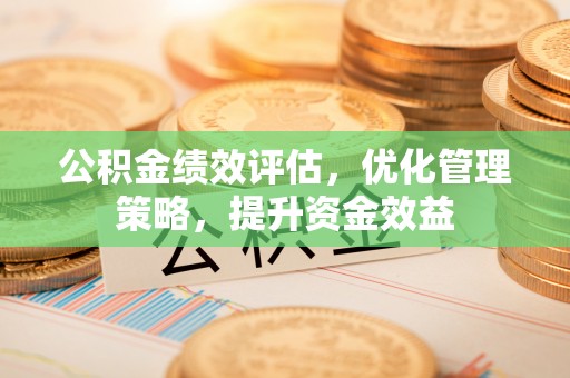 南宫公积金绩效评估，优化管理策略，提升资金效益