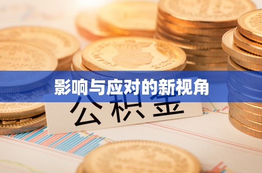 南宫影响与应对的新视角