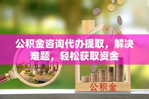 南宫公积金咨询代办提取，解决难题，轻松获取资金