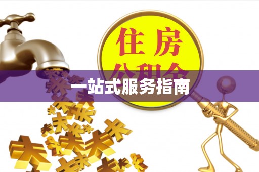 南宫一站式服务指南