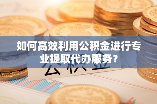 南宫如何高效利用公积金进行专业提取代办服务？