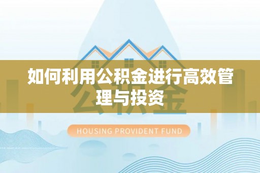 南宫如何利用公积金进行高效管理与投资