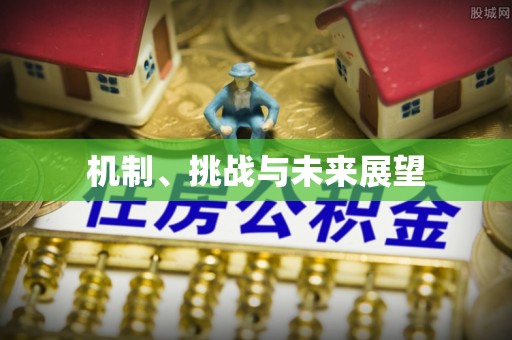 南宫机制、挑战与未来展望
