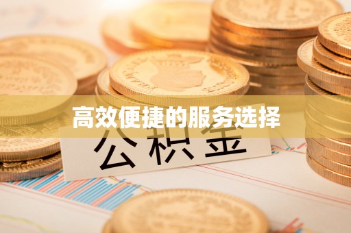 南宫高效便捷的服务选择